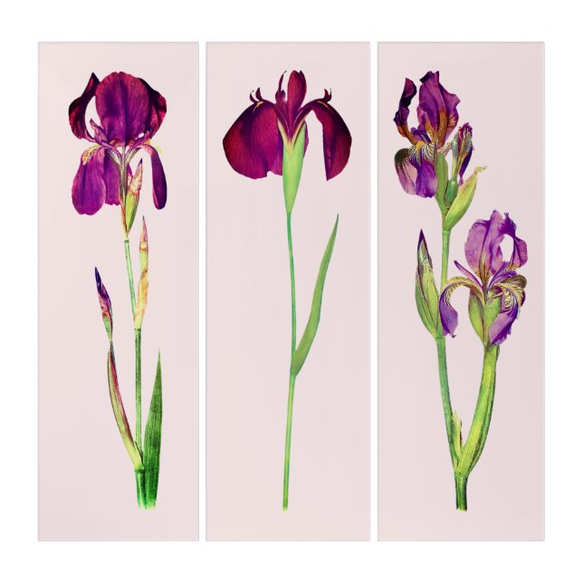 Purple Floral Heritage Print Triptych (Front)