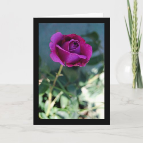 Purple Floral Rose Card