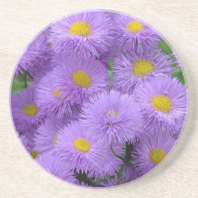 Purple Floral Sandstone Coaster (Front)