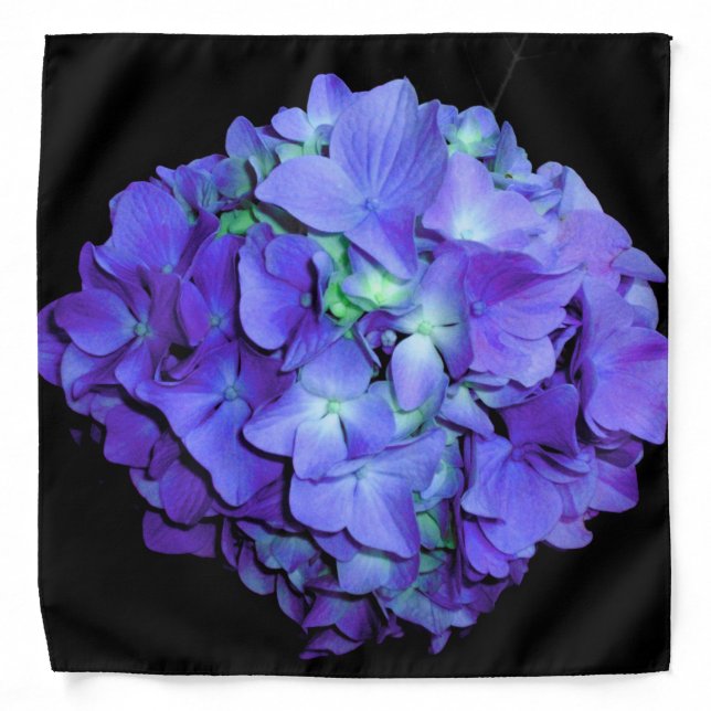 Purple floral teal floral hydrangea  bandana (Front)