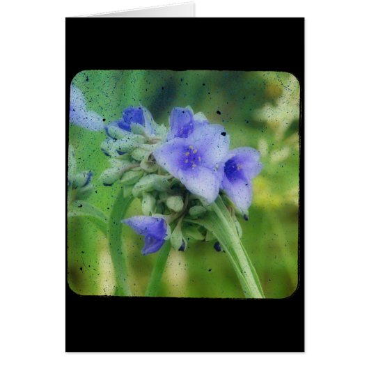 Purple Floral TTV Cards (Front)
