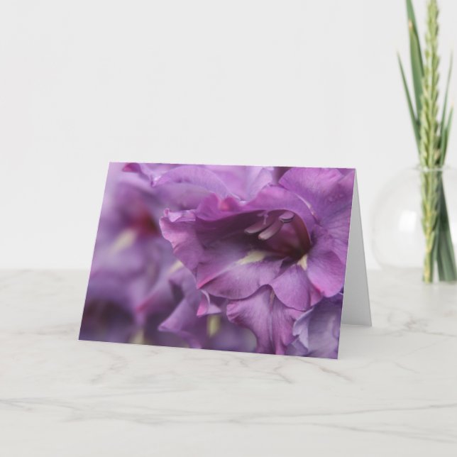Purple Florals Greeting Card (Front)
