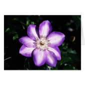 Purple Flower (Front Horizontal)