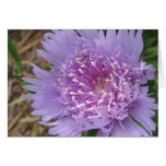 Purple Flower at Zazzle