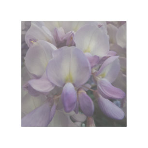 Purple Flower 12" x 12" Gallery Wrap