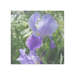 Purple Flower 12" x 12" Gallery Wrap