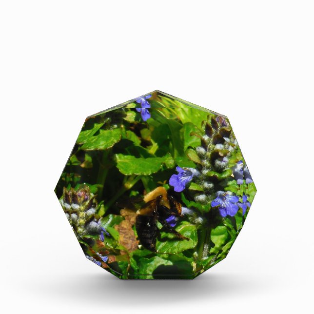 Purple Flower and Bumble Bee Award (Front)