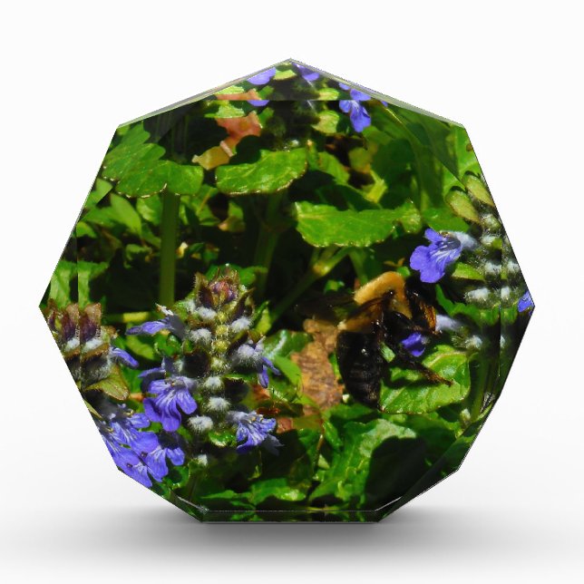 Purple Flower and Bumble Bee Award (Front)