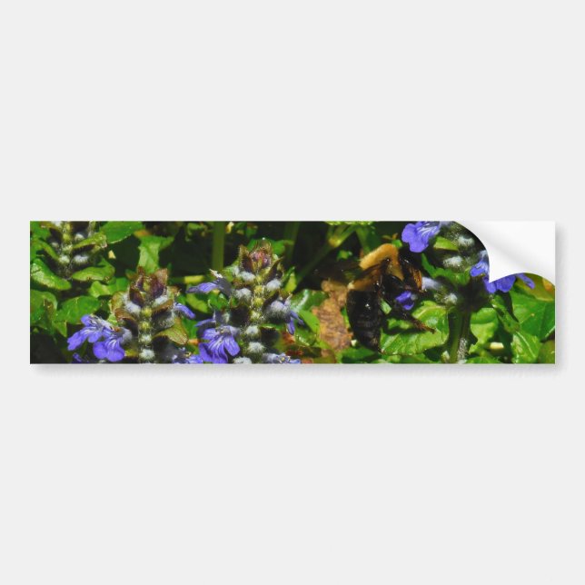 Purple Flower and Bumble Bee Bumper Sticker (Front)