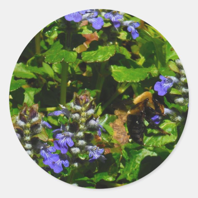 Purple Flower and Bumble Bee Classic Round Sticker (Front)