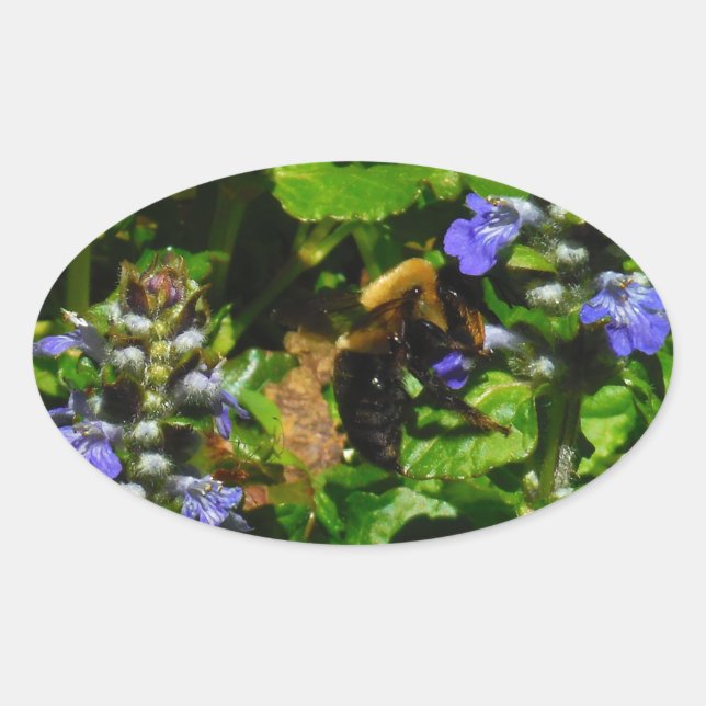 Purple Flower and Bumble Bee Oval Sticker (Front)