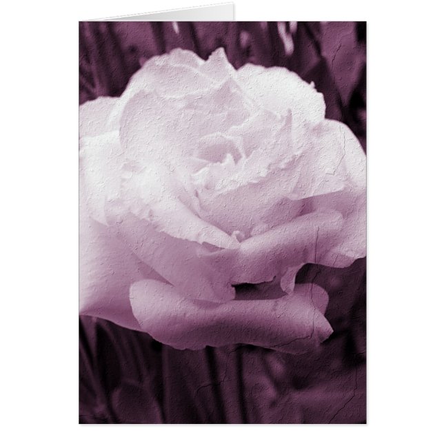 Purple Flower Art Cards (Front)