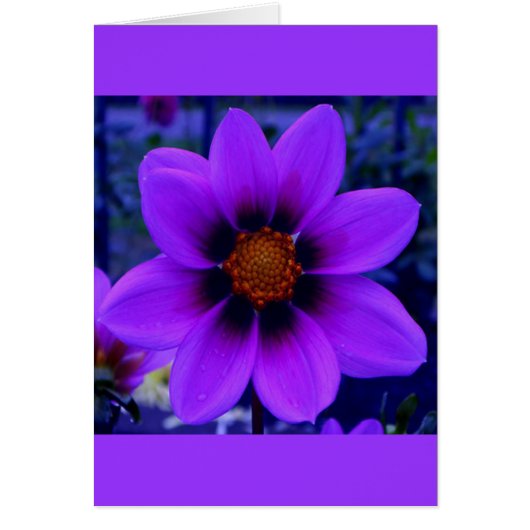 Purple Flower at Dusk Card (Front)