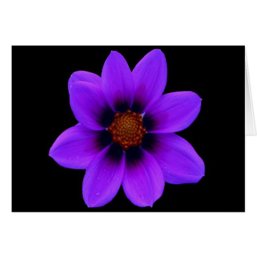 Purple Flower at Dusk Cards (Front Horizontal)