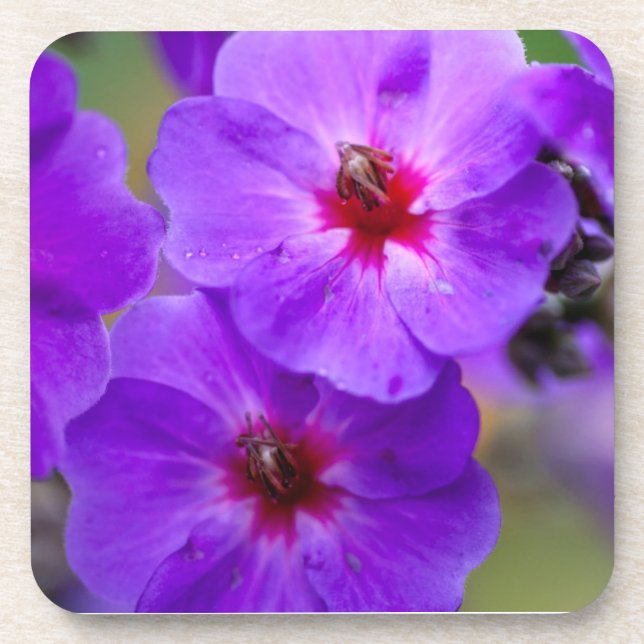 Purple flower beverage coaster (Front)