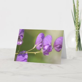 Purple Flower Blank Note Card by pulsDesign at Zazzle