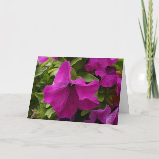 Purple Flower Card (Front)