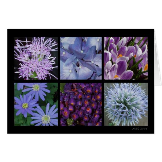 Purple Flower Card (Front Horizontal)