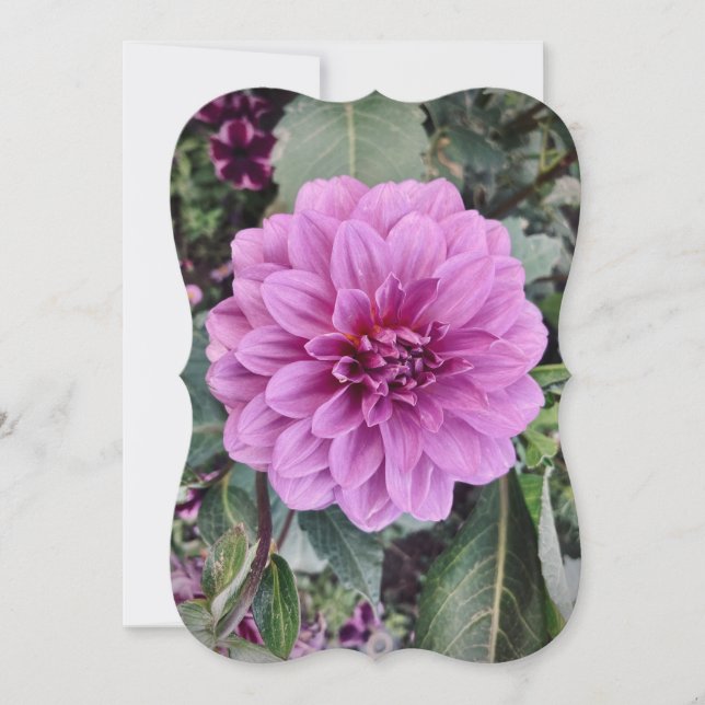 Purple Flower Card  (Front)