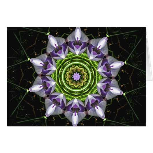 Purple Flower Cards (Front Horizontal)