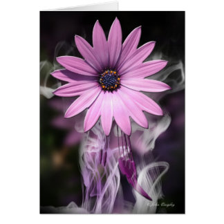 Purple Flower Cards