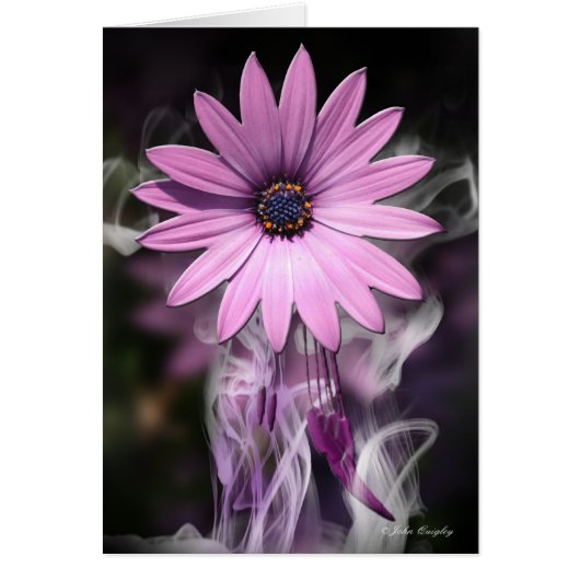 Purple Flower Cards (Front)