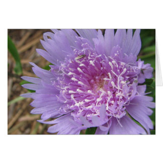 Purple flower cards