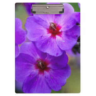 Purple flower clipboard