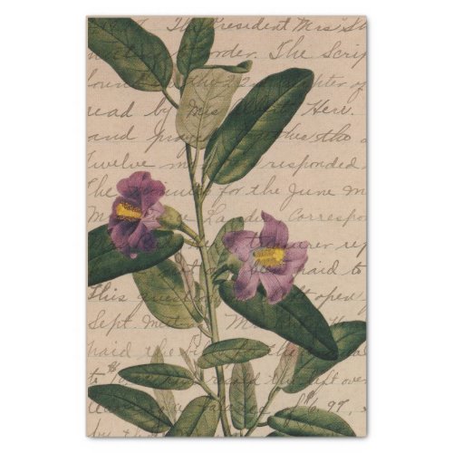 Purple Flower Ephemera Tissue Paper