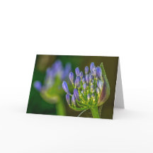 Purple flower Folded Thank You Card