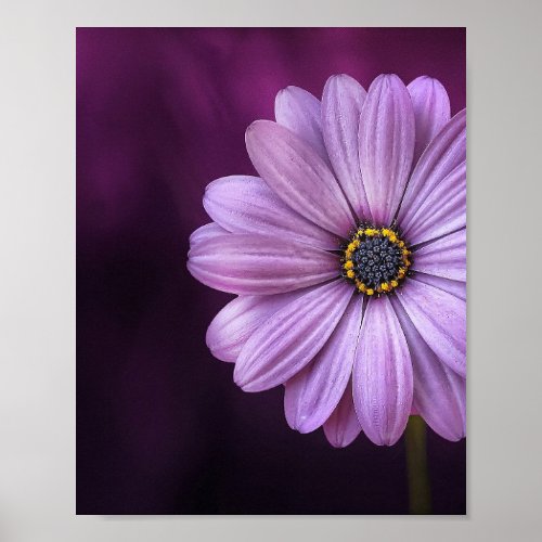 Purple Flower in Bloom Poster
