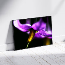 Purple flower in dreamlike style