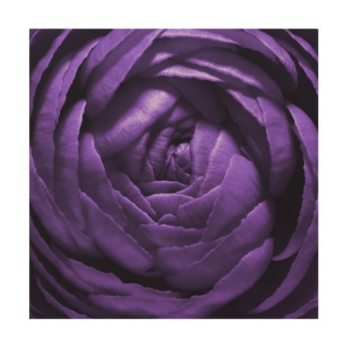 Purple Flower Macro Shot Wood Wall Art