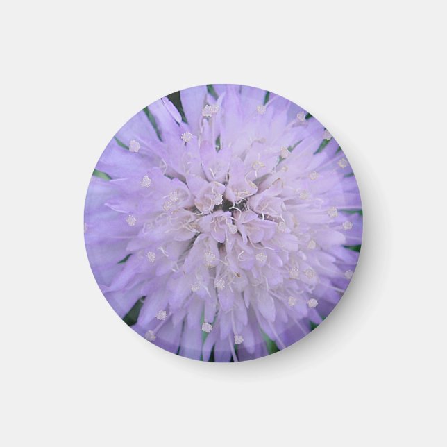 Purple flower magnet (Front)