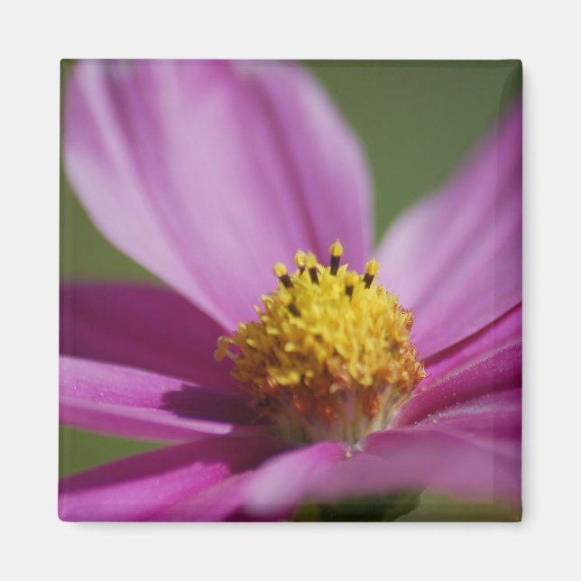 Purple flower magnet (Front)