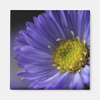 purple flower magnet