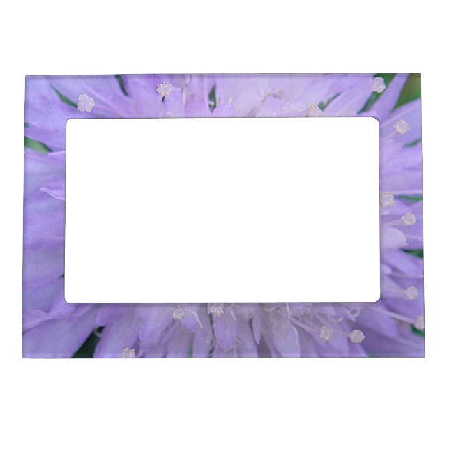 Purple Flower Magnetic Frame (Front)