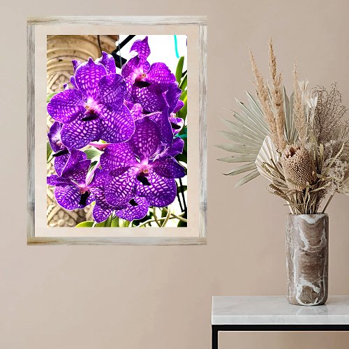 Purple Flower Moon Orchid Tropical Plant Poster