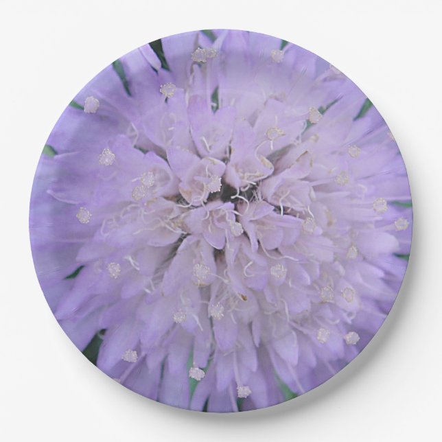 Purple flower paper plates (Front)