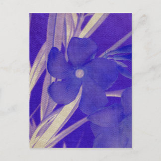 Purple Flower Postcard