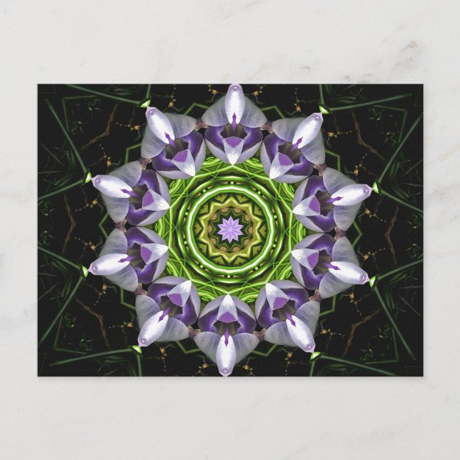 Purple Flower Postcard (Front)