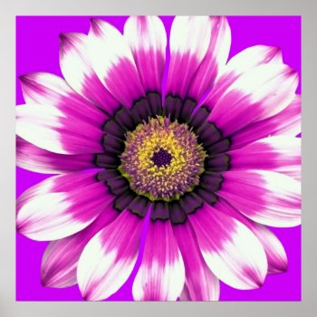Purple Flower Poster by Argos_Photography at Zazzle