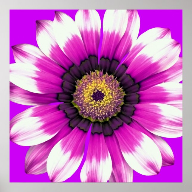 Purple Flower Poster (Front)