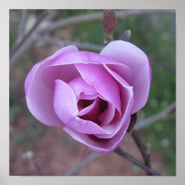 Purple Flower print (Front)