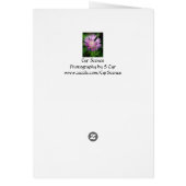 Purple Flower, S Cyr Cards (Back)