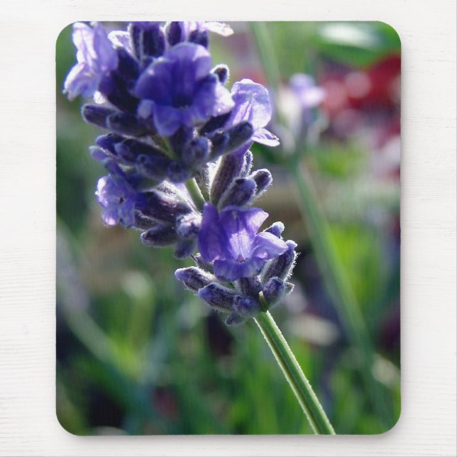 Purple Flower Spike Mouse Pad (Front)