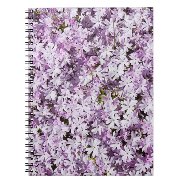 Purple flower, summer freshness backdrop. notebook (Front)