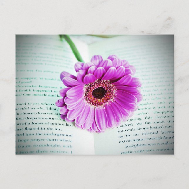 Purple Flower Vintage Postcard (Front)