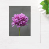 purple flower with ant (Desk)