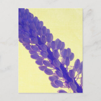 purple-flower-yellow postcard